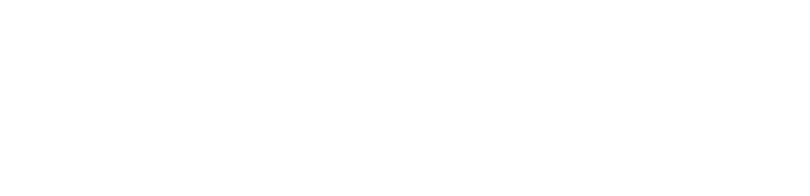 Logo Visum